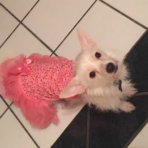 Meet your Posher, Sonia